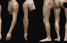 ZBrushworkshops - Fundamentals Of Anatomy Arm And Leg