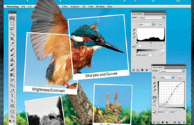 Photoshop Image Editing Genius Guide Vol. 1 Revised Edition