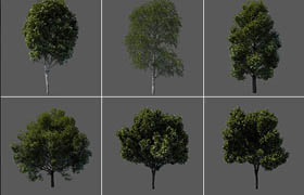 Vargov - 3D Models Tree