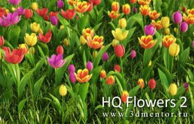 ​3dmentor.ru -  vrayc4d - HD Flowers vol.2 for Cinema4D