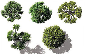 DOSCH 2D Viz-Images: Bird's Eye - Trees