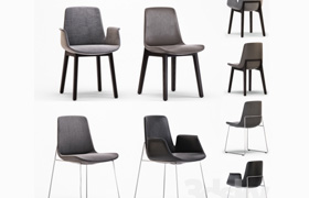 ​POLIFORM VENTURA CHAIR