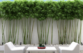 ​Bamboo wall