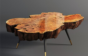 Wood slab coffee table