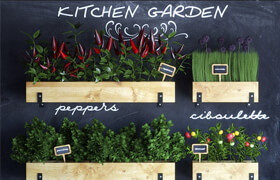 Kitchen garden