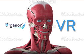 3D Organon Anatomy