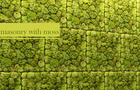 Stone and moss