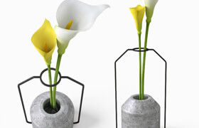 Calla in Weight Vases by Decha Archjananu / Callas