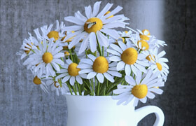 Bouquet of daisies