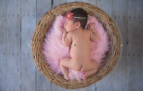 SLR Lounge DVD Newborn Photography Workshop Collection and Lightroom Presets