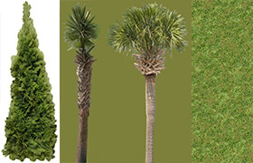 GOT3D VEGETATION TEXTURES