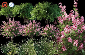 Set flowering shrubs 4