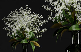 Gypsophila and magnolia leaves in bottle