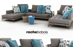 Sofa roche bobois