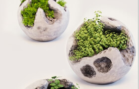 Round concrete pots with plants