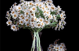 Bouquet of flowers in a vase 18