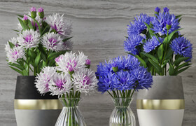 Cornflower Set