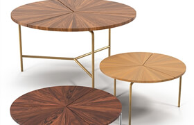 BassamFellows CIRCULAR TABLE SERIES