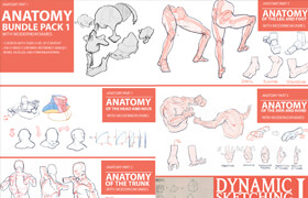 James Douglas (moderndayjames) - Anatomy Bundle Pack 1