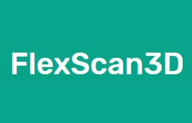 FlexScan3D