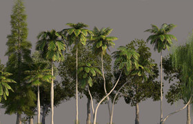 Cgtrader - Tree Pack 01 3D model