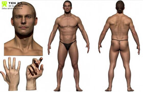 3dscanstore - Colour Male Anatomy Bundle 01