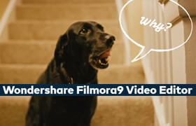 Wondershare Video Editor