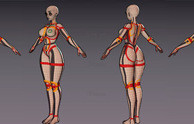 Artstation - Stylized Female Base Mesh - Pisciasa Edition