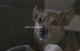 DANIEL JOHN PETERS - GH5  GH5S HLG LUTS