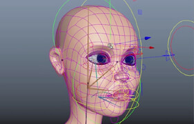 CGCircuit - Face Rigging