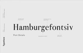 Envato Fonts