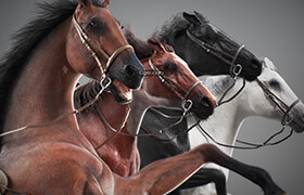 Nonecg - Horses Maya v3 - 3dmodel