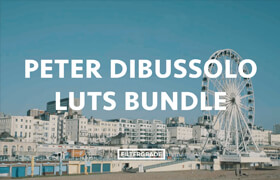 Peter Dibussolo LUTs Bundle