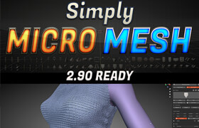 Simply Micro Mesh