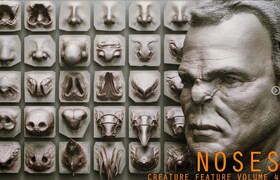 Artstation - NOSES - 40 ZBrush VDM Nasal Areas