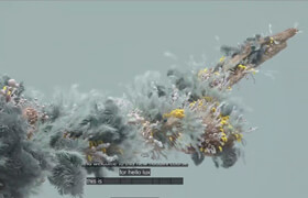 Helloluxx - learn Houdini In Bloom