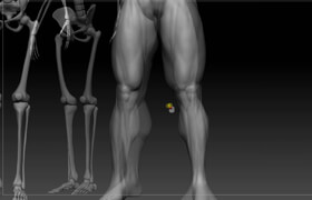 CG MAKERS - ANATOMIA Creación de personajes 3d con Zbrush Vol.1- El cuerpo