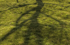 Grass Landscape