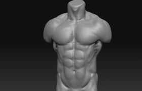 Flippednormals - Fundamental Anatomy for Sculptors