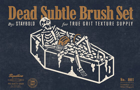 True Grit - Dead Subtle Brushes 2.0 For Photoshop