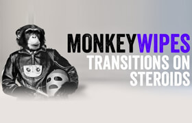 MonkeyWipes