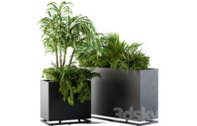 Plant box metal compact04