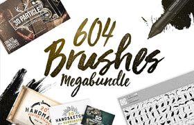 Creativemarket - 604 Photoshop Brushes - ps笔刷