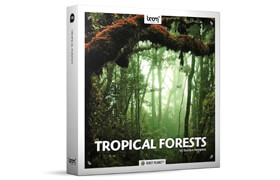 Boom Library - Tropical Forests