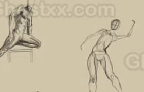 Udemy - Anatomy for Figure Drawing Mastering the Human Figure