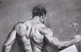 Proko - Figure drawing fundamentals