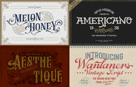 Victorian + Vintage Display Fonts - 字体