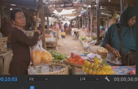 Udemy - Adobe Premiere Pro CC Masterclass Video Editing in Premiere (2024)