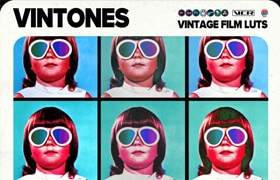 Vintones - Vintage Film LUTs