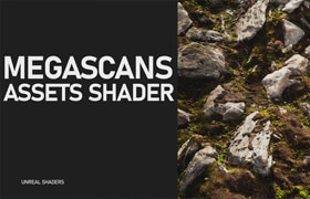 Udemy - Unreal Shader - Megascans Assets